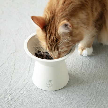CATEGORY シリーズ別 | & CAT | ONLINE STORE