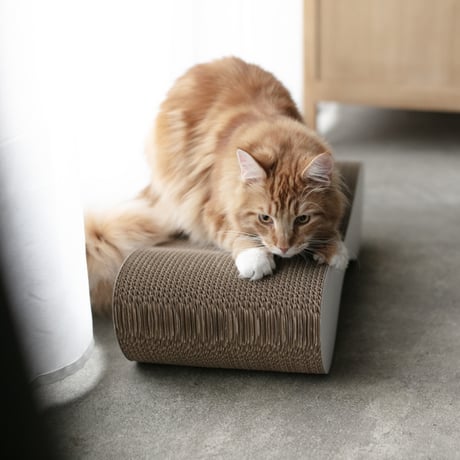 TOG Wave［ブラック］（爪とぎ）