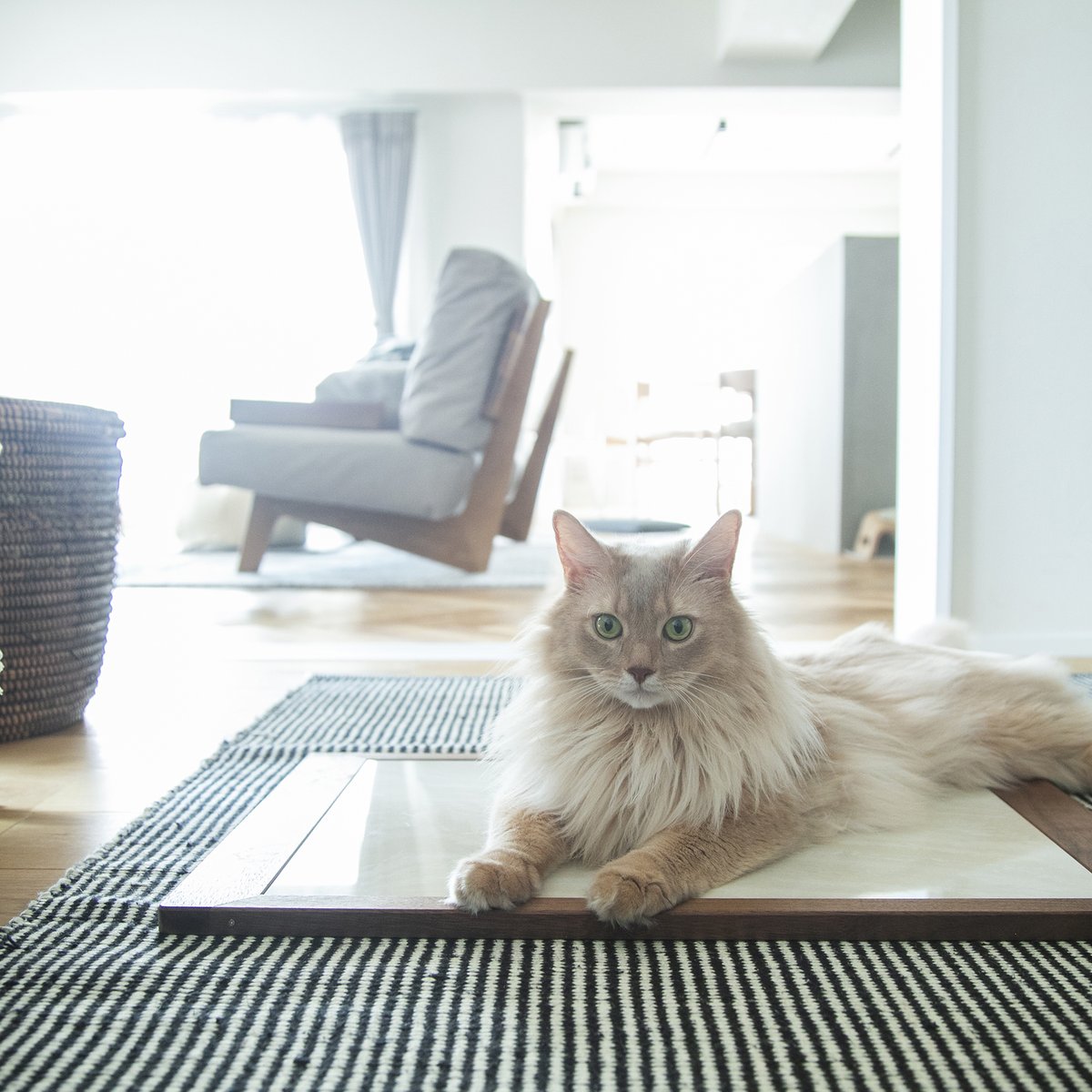 NORDIC / cool tile mat［ウォールナット］ | & CAT | O