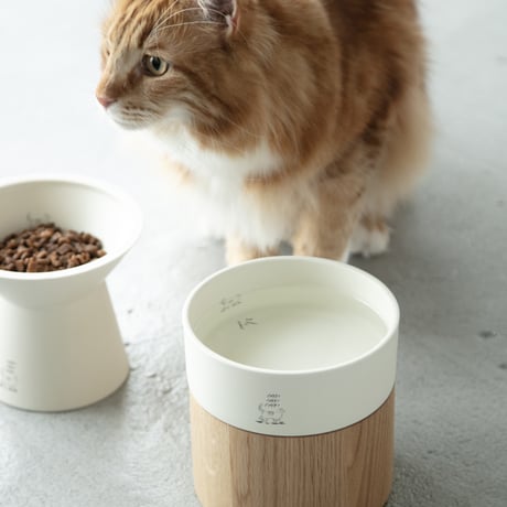 RM様用/キャットアンドロジャー/kat&roger/鉢 ratanto-ct4bed-48-shpbe.png?v=