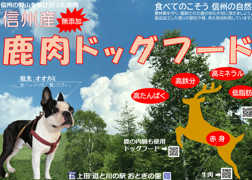 ドッグフード 国産 信州産 鹿肉 グリーントライプ 500g ジビエ 酵素