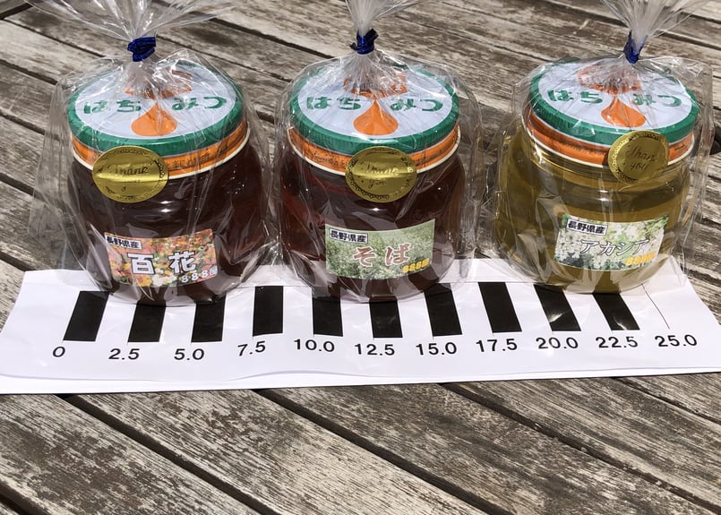 信州産天然純粋はちみつ(300g) × 3本セット【送料無料】 | 上田 道と川