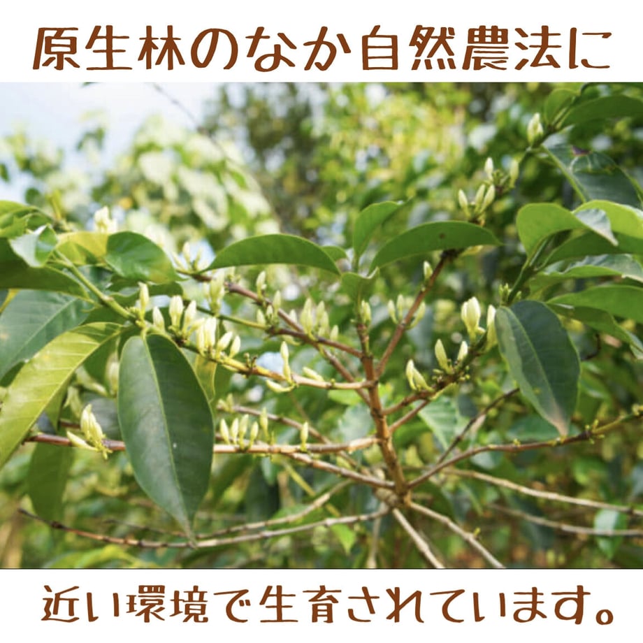 60ac7ade9a5b751dc6e6e002