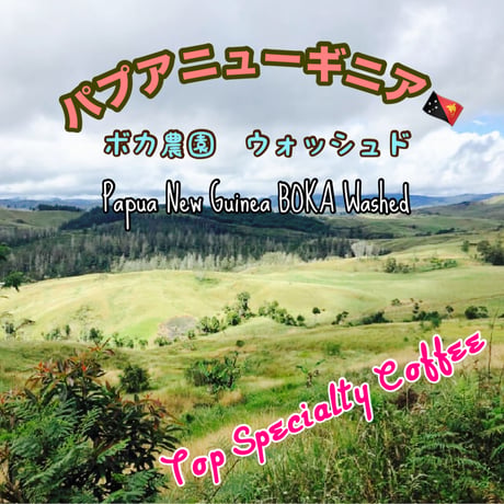 パプアニューギニア🇵🇬ボカ農園　ウォッシュド　200g
