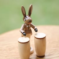 地球ジャイロ Tiger Gyroscope | ミュージアムショップ ALIMALI