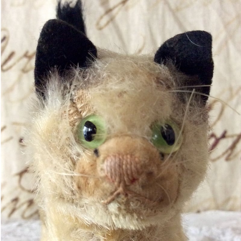 シュタイフ社 GUSSYちゃん | sputnikplus online shop