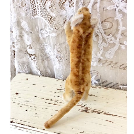シュタイフ社 lion cub