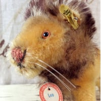 SALE! ちょっと頭頂部薄めのライオン