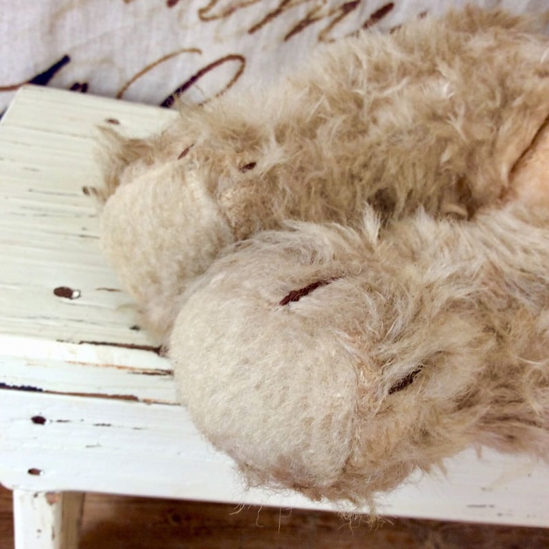 Jan jac社のクマちゃん | sputnikplus online shop