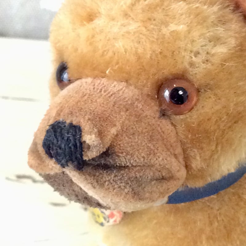 シュタイフ ボクサー犬 シュタイフ社ボクサー犬 sarras | sputnikplus online shop