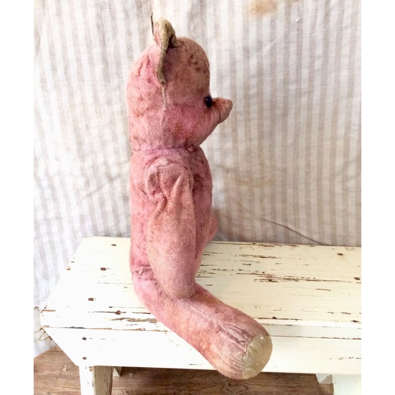ピンク色のクマちゃん | sputnikplus online shop