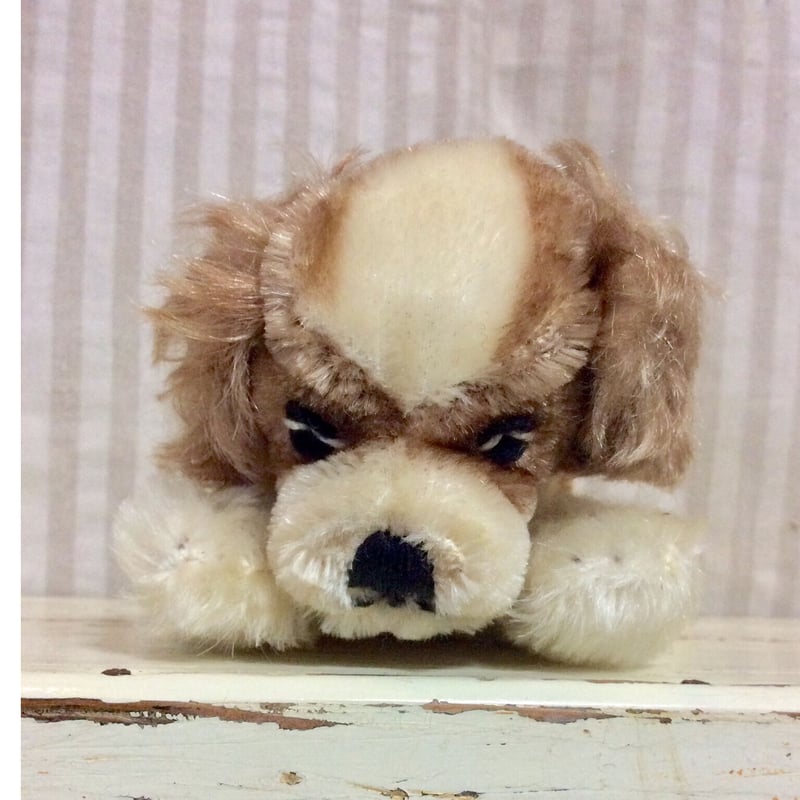 シュタイフ社 floppy cockie | sputnikplus online shop