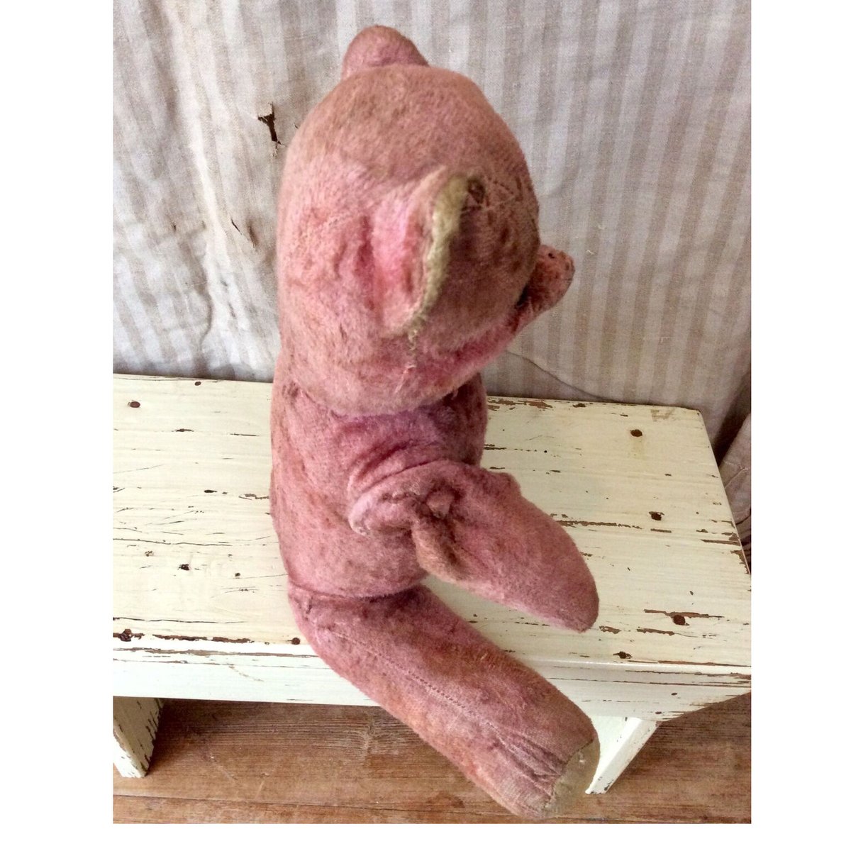 ピンク色のクマちゃん | sputnikplus online shop