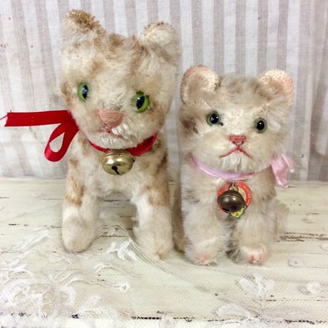シュタイフ社 子猫のtapsy