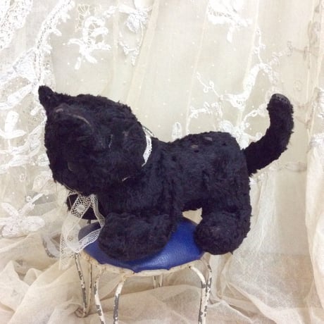 黒いネコ