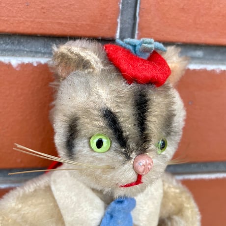 意思が強そうな猫
