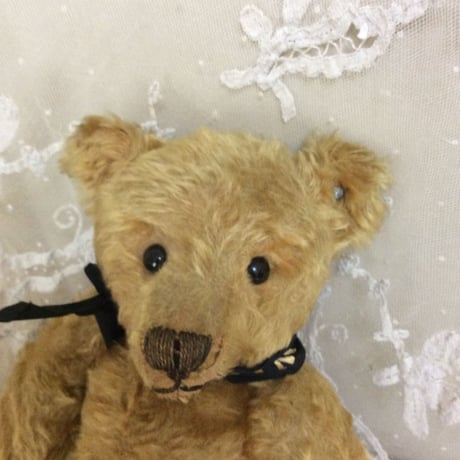 STEIFF シュタイフ社 テディベア