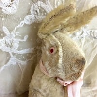 STEIFF HOLLANDER RABBIT