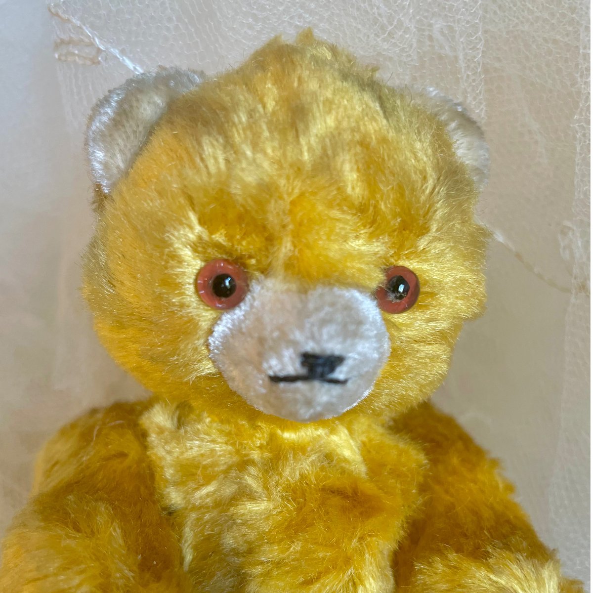 黄色いくまさん | sputnikplus online shop