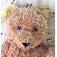 シュコー社パンダ | sputnikplus online shop