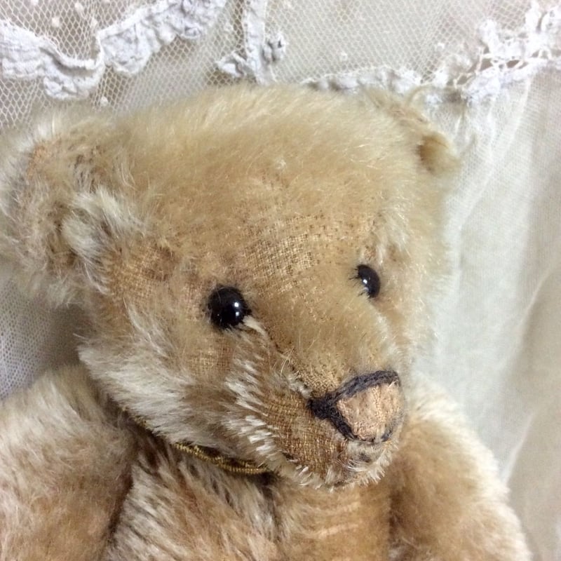 STEIFF オールドシュタイフ テディベア | sputnikplus online shop STEIFF オールドシュタイフ テディベア | sputnikplus online shop
