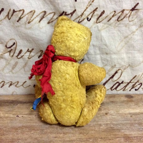 ルーマニアンベア