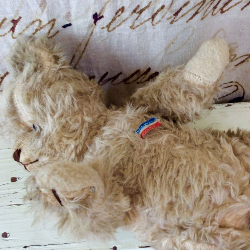 Jan jac社のクマちゃん | sputnikplus online shop