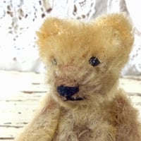 シュタイフ社 小さなくまちゃん