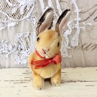 シュタイフ社 sonny