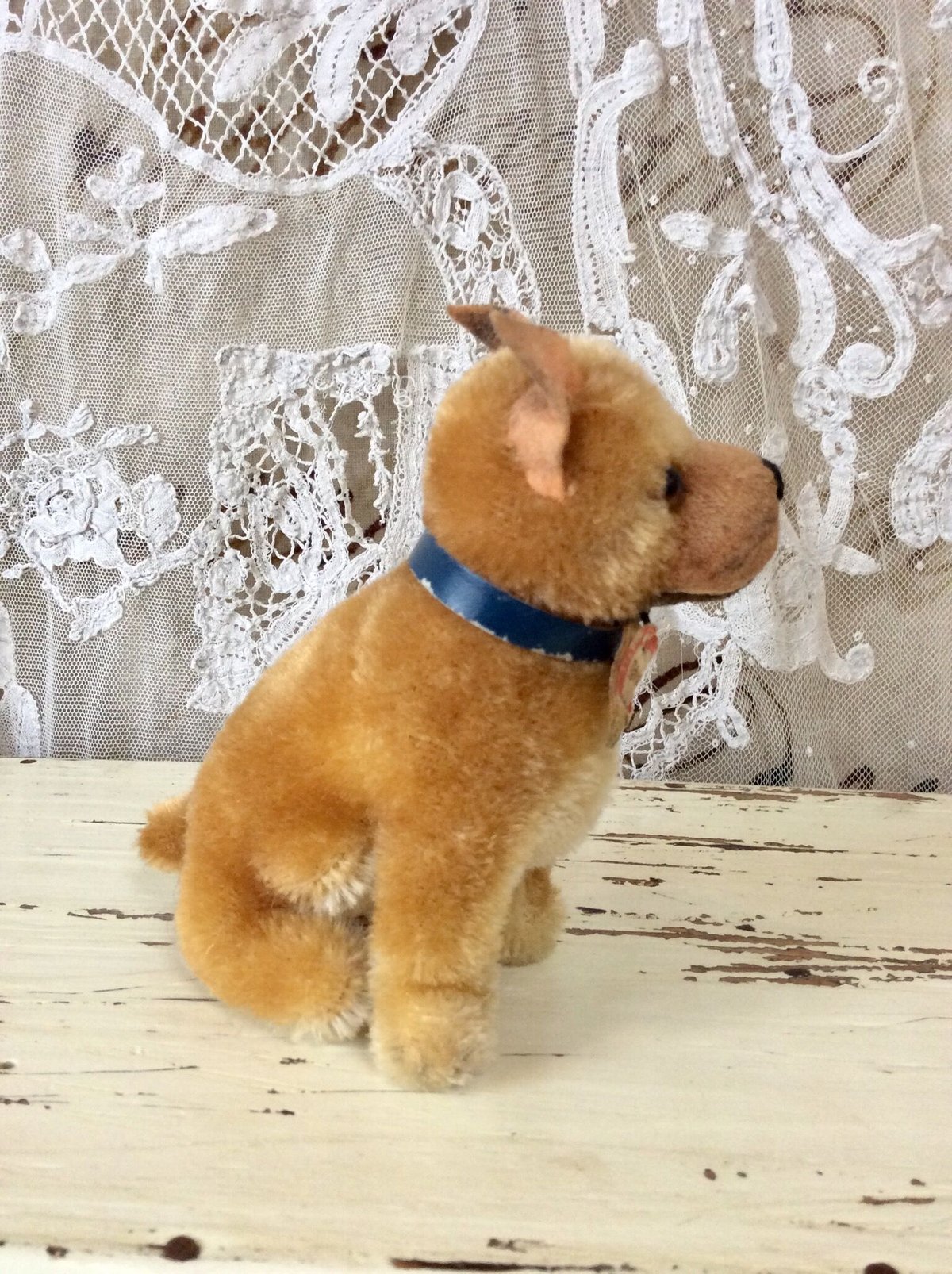 シュタイフ ボクサー犬 シュタイフ社ボクサー犬 sarras | sputnikplus online shop