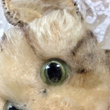 シュタイフ社KITTY③