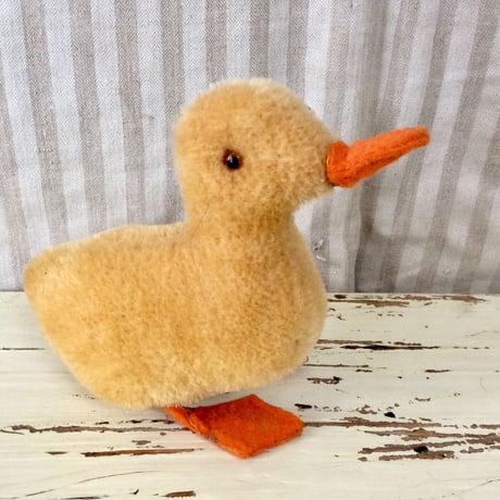 キウイバード？