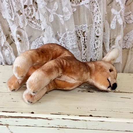 優しい眼差しのバンビさん