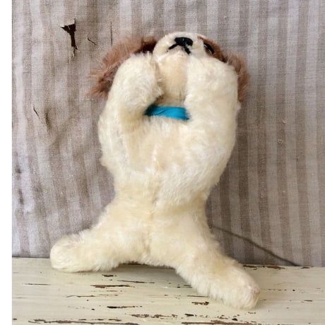 シュタイフ社 floppy cockie 小さいコ