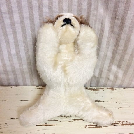 シュタイフ社 floppy cockie