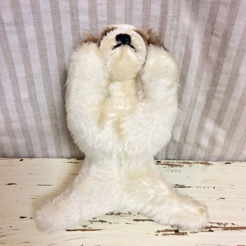 シュタイフ社 floppy cockie | sputnikplus online shop