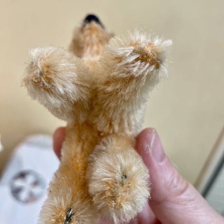 小さなバンビ