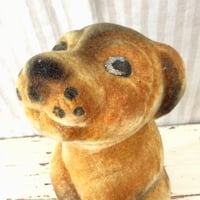 チェコのニヒルな犬