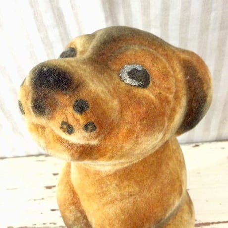 チェコのニヒルな犬