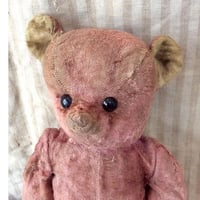 ピンク色のクマちゃん