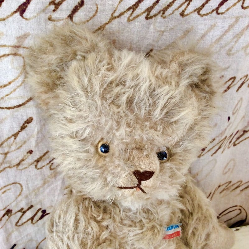 Jan jac社のクマちゃん | sputnikplus online shop