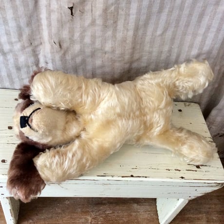 シュタイフ社  floppy cockie 大きめのコ