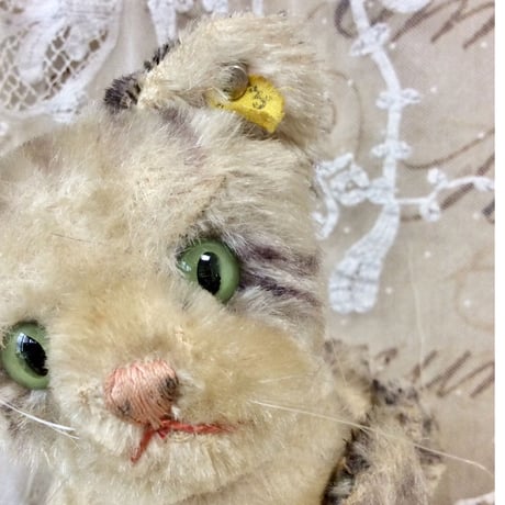 シュタイフ社KITTY ②