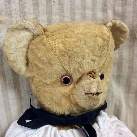 お鼻取れちゃった？フレンチベア