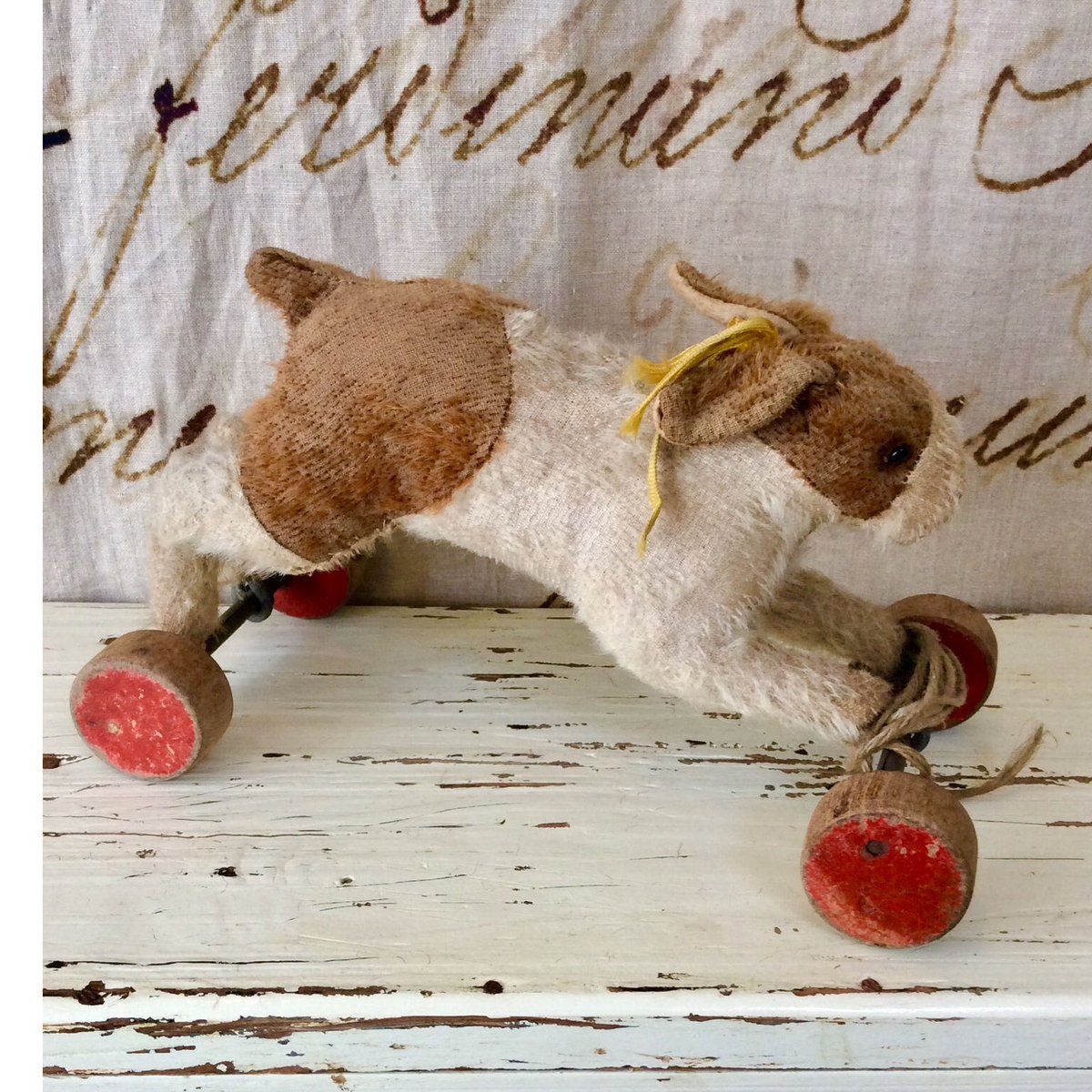 シュタイフ社車輪付きのうさぎ | sputnikplus online shop