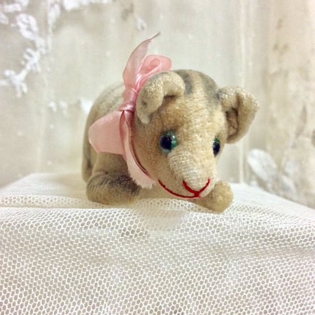 ANTIQUEシマシマ猫