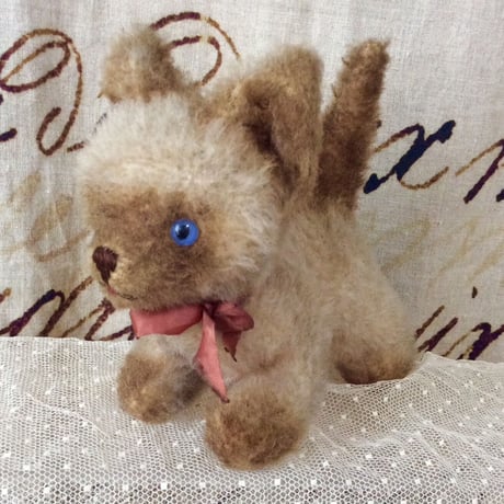 フレンチシャム猫ちゃん