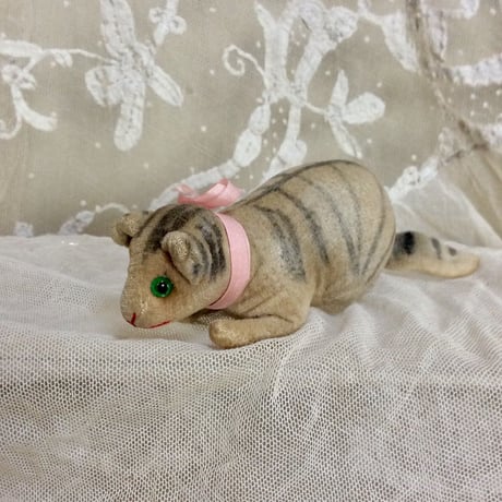 ANTIQUEシマシマ猫