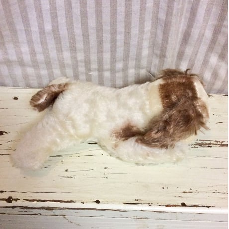 シュタイフ社 floppy cockie