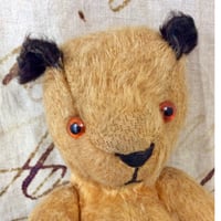 チャドバレー社　sooty